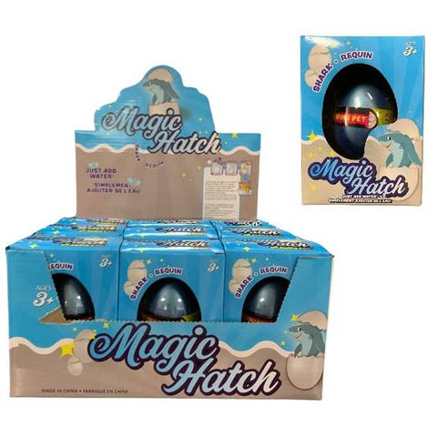 Handee Products - Magic Growing Hatch Eggs - Shark